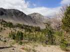 East face of Simpson Peak from the valley below.