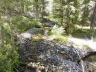 Deer Creek meandering through the trees.