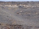 Bighorn sheep heading toward the pass to Long Lost Creek.