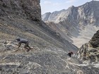 Making our way up the cheese grater on Limestone Peak.