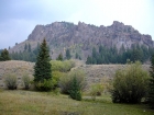 Fall colors on a hillside just north of the Wet Creek trailhead.