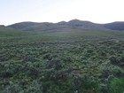 Heading up sagebrush slopes at the start.