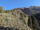 I climbed this ridge on the south side of Cabin Mountain.