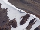 Close up of goats peering over a snowbank on the ridge below Redbird.