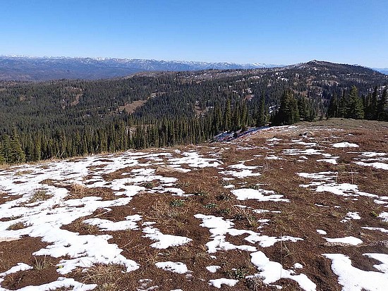 Freewill Peak summit view.