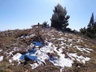 Wilson Peak summit area.