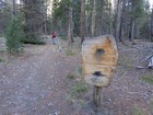 Entering the wilderness area not long after the trailhead.