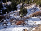 Crossing the frozen creek.