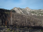 View of Wolf Mountain above the burn area.