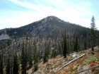 Shephard Peak from the north.