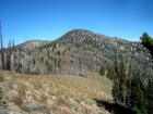 Looking over at Tyee Mountain from the wrong ridge (I was just a little too far south).