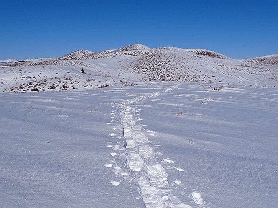 Wood Creek Peak