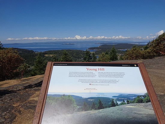 Young Hill summit view.