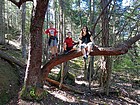 Tree posers on the way back down.