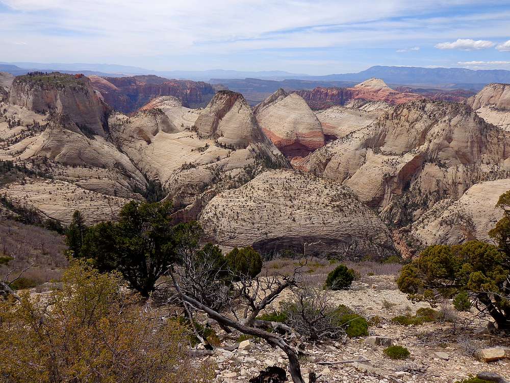 Zion West Rim Trail