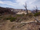 West Rim Trail.