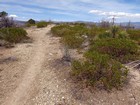 Highpoint of Horse Pasture Plateau.