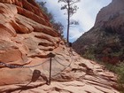 Start of the Angels Landing climb.