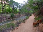 Grotto Trailhead, Virgin River, Zion Canyon.