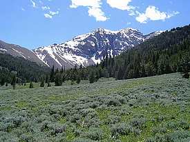 The north face of Mount Breitenbach from the Pahsimeroi River approach.