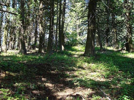 Boise Peak summit area.