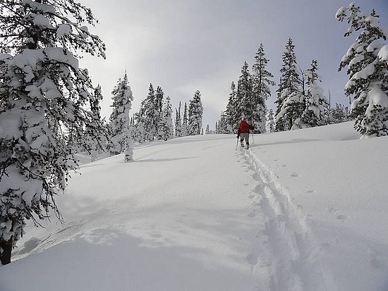 Nearing the summit of Bull Horn Mountain.