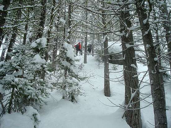 Snowshoeing up Collier Peak