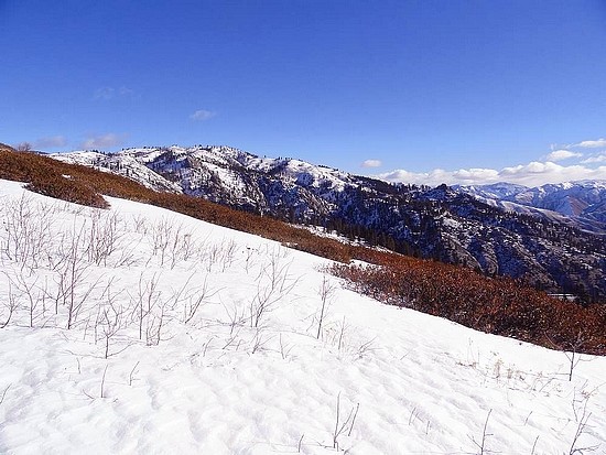 Cottonwood Peaks