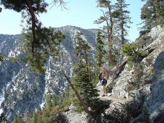 Matthew on the trail to Cucamonga Peak.