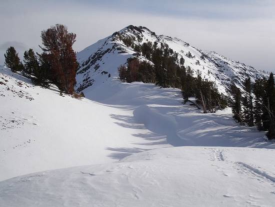 The final climb to Titus Peak.