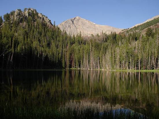 WCP-3 from Hoodoo Lake.